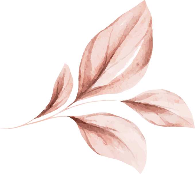 Shamiyana Hirer in Chennai